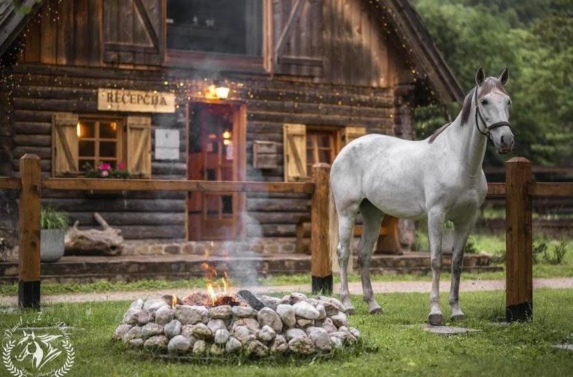 Pristava Lepena Village Экстерьер фото